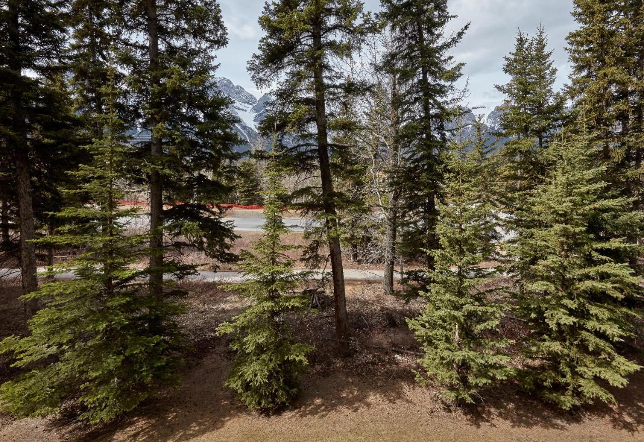 Newly Renovated Grizzly Lodge, Spacious 3Br 2Ba With Open Pool, Hot Tub キャンモア エクステリア 写真
